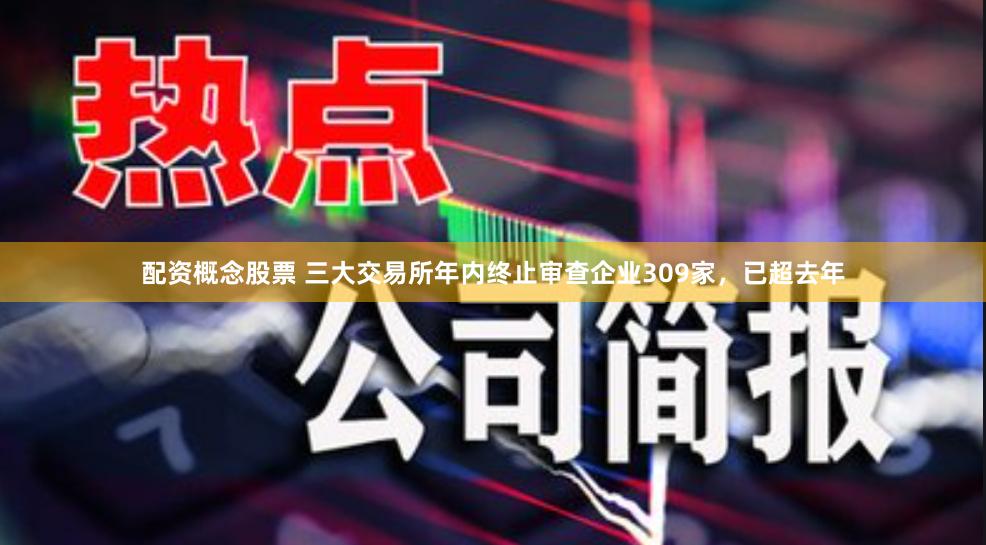 配资概念股票 三大交易所年内终止审查企业309家，已超去年