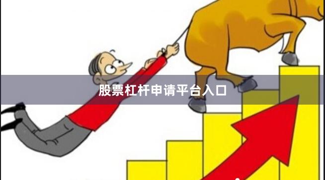 股票杠杆申请平台入口