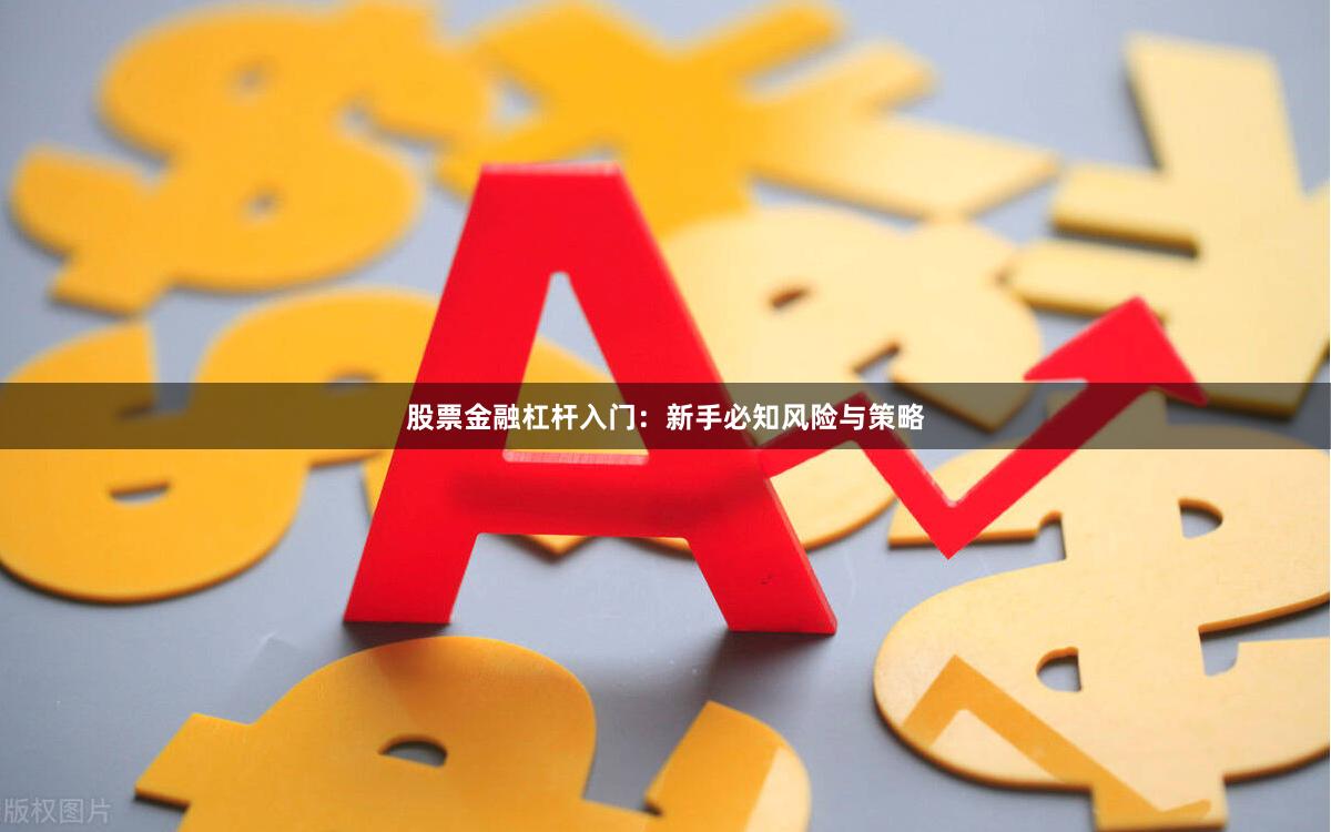 股票金融杠杆入门:新手必知风险与策略